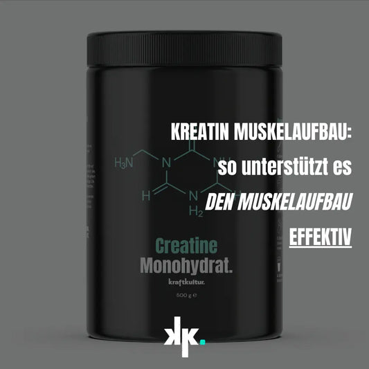 Kreatin-Muskelaufbau-So-unterstützt-Kreatin-den-Muskelwachstum-effektiv Kraftkultur Shop