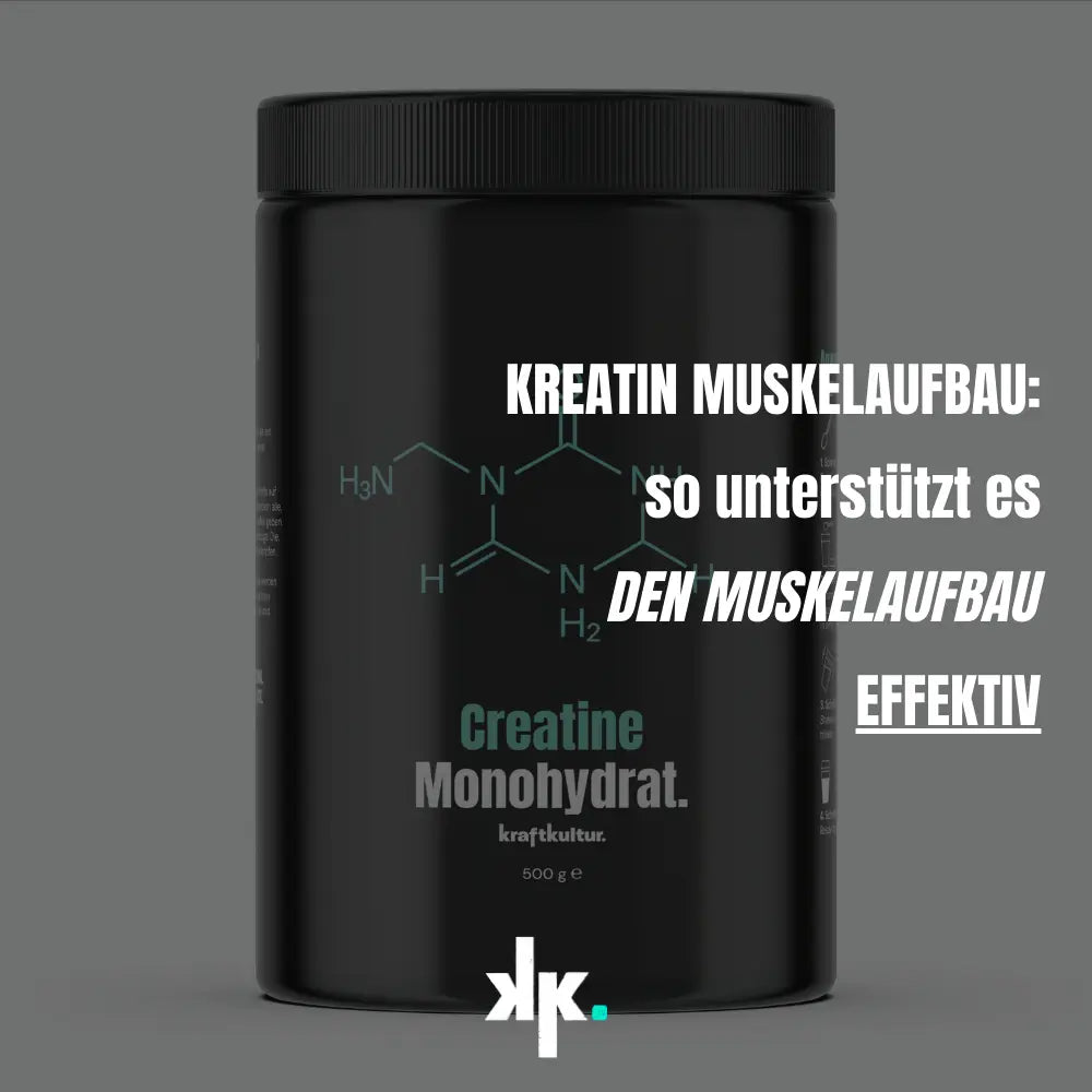 Kreatin-Muskelaufbau-So-unterstützt-Kreatin-den-Muskelwachstum-effektiv Kraftkultur Shop
